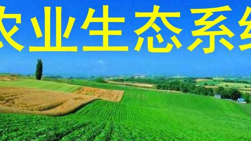 庭院方寸地，也能长出好效益