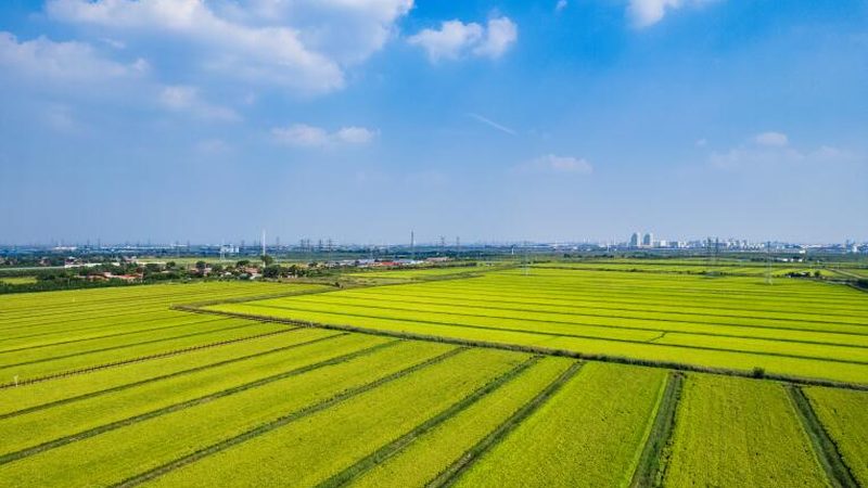 农民专业合作社财务管理制度模板下载