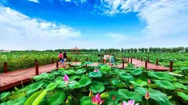 休闲农业景观设计，如何打造生态美景？**
