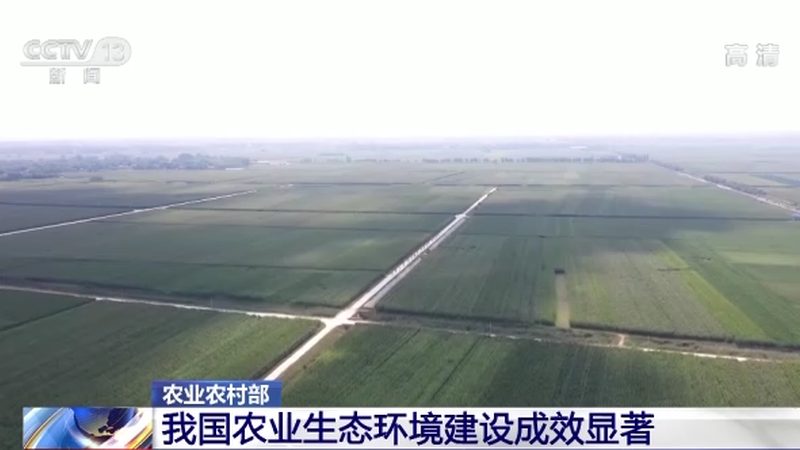 现代农业产业园建设：从规划到落地的关键步骤**