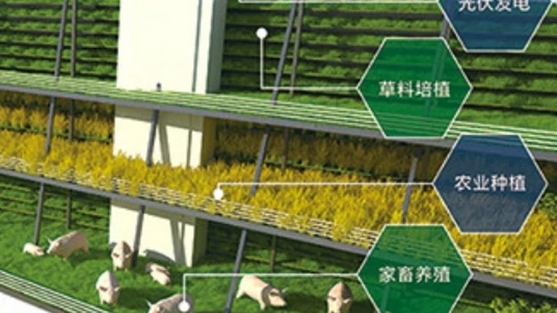 家庭食材配送：合作共赢，打造健康餐桌**