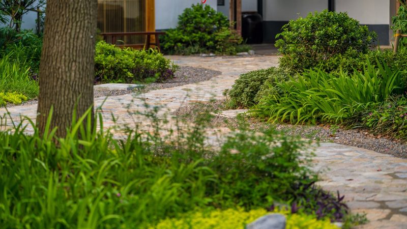 山地丘陵植保无人机：如何选择最适合的利器