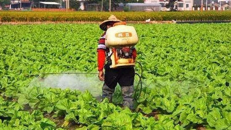 农业产业园补贴政策：如何精准把握政策红利**