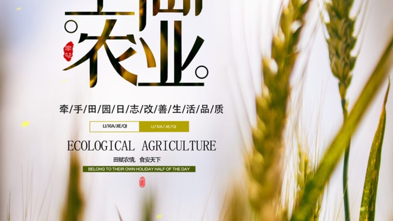 农资加盟店从选品到留客的运营闭环